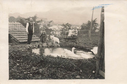 8 Carte-Photo Foto Familien In Stein Aargau 1935-1938 - Autres & Non Classés