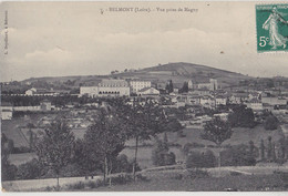 BELMONT  Vue Prise De Magny - Belmont De La Loire