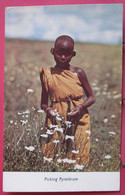 Visuel Très Peu Courant - Kenya - Picking Pyrethrum - (petite Fille Qui Cueille Des Fleurs) - R/verso - Kenya