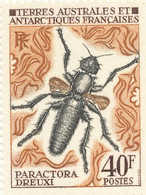 N° 41 NEUF XX - Unused Stamps