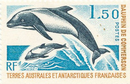 N° 65 NEUF XX - Unused Stamps