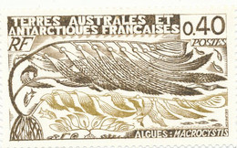 N° 68 NEUF XX - Unused Stamps