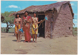Paraguay - Indios Maca - Indiens Maca / Femmes Seins Nus - Paraguay