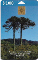 Chile - Telefónica - Araucarias Gemelas Parque (4th Issue), Gem1A Symmetr. Black, Exp. 08.2000, 5.000Cp$, 20.000ex, Used - Cile