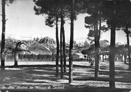 17466 " LE ALPI APUANE DA MARINA DI CARRARA " -VERA FOTO-CART. POST. SPED.1960 - Carrara