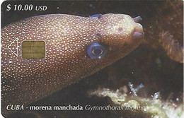 CUBA - MORENA MANCHADA - FISH - 30.000EX - Cuba