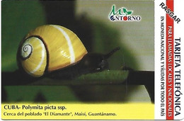 CUBA - POLYMITA PICTA SSP. - SNAIL - 75.000EX - Cuba