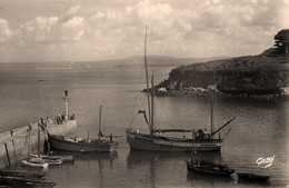 Tréboul * Un Coin Du Port Et L'ile Tristan * Jetée Bateau De Pêche * Environs De Douarnenez - Tréboul