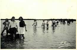 Port Giraud , La Plaine Sur Mer * Le Retour De La Pêche Aux Moules - La-Plaine-sur-Mer