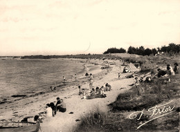 La Tara , La Plaine Sur Mer * La Plage à Marée Haute - La-Plaine-sur-Mer