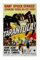 Affiche Du Film - Tarantula, 1955  - POSTCARD  RP (47) - Size: 15x10 Cm. Aprox. - Posters On Cards