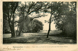 Noimoutier * 1904 * Sous Bois , Au Bord De La Mer Près Du Fort St Pierre - Noirmoutier