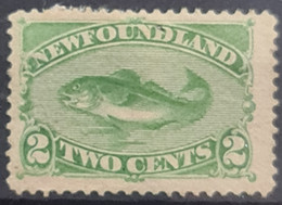 NEWFOUNDLAND 1880 - MLH - Sc# 46 - 1865-1902