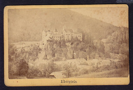 EBERSTEIN Svinec Schloss OLD PHOTO - CDV -  6,5 X 10 Cm - Not Postcard C.1890 Photo Franz Volker (see Sales Conditions) - Wolfsberg