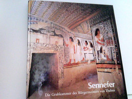 Sennefer. Die Grabkammer Des Bürgermeisters Von Theben. - Archäologie