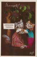 N14- CHAT - CAT - " GESNAPT - VERBODEN TERREIN " - CHATONS HUMANISES - SUPRA - (EDITEUR ECHTE PHOTO -- 2 SCANS) - Cats