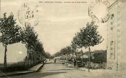 Aizenay * Avenue De La Rue Neuve * Villageois - Aizenay