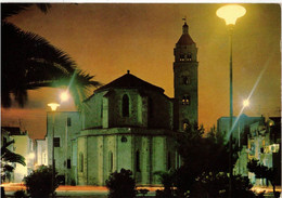 BARLETTA - NOTTURNO DELL'ABSIDE DEL DUOMO DAI GIARDINI   (BT) - Barletta