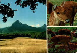 MAURITIUS / YEMEN - LES CERFS ET LES MONTAGNES (avec BELLE PHILATELIE) - Maurice