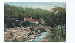 Northumberland The Old Mill Postcard Jesmond Dene Uused Valentine's - Newcastle-upon-Tyne