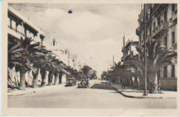 TUNISIE. SFAX . Avenue Jules GAU ( Autos Traction Avant Citroën)  Rare Vue - Tunisia