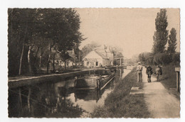 18 CHER - MARMAGNE Les Bords Du Canal, Halage Par Des Anes - Other Municipalities