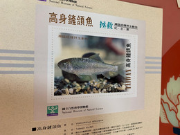 National Museum Of Natural Science Saved Ku-fish Taiwan No Face S/s - Storia Postale