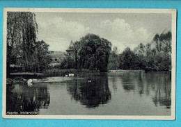 * Heerlen (Limburg - Nederland) * (Uitg V.D. Heerlen, Nr 1038) Weltervijver, étang, Lac, Cygne, Zwaan, Swan, Old - Heerlen