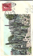 United States & Marcofilia, California, Cactus Garden, Sacramento To Lisboa 1903 (6193) - Cactus