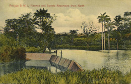 Antigua, B.W.I., Fiennes And Sweets Reservoirs From North (1910s) Postcard - Antigua En Barbuda