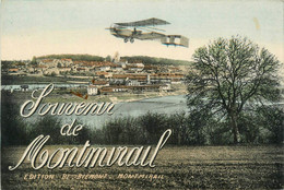 Montmirail * Souvenir De La Ville ! * Avion Aviation - Montmirail