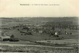 Montmirail * La Vallée Du Petit Morin, Vue De Montléan - Montmirail