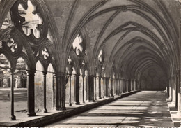 The Cloisters, Salisbury Cathedral - Salisbury