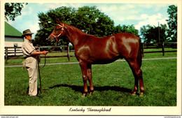 Kentucky Lexington Keenland Race Course Thoroughbred Yearling Ready For Sale - Lexington