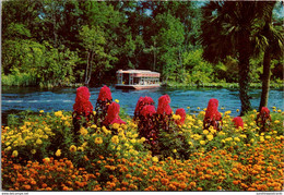 Florida Silver Springs Gardens Along The Silver River 1976 - Silver Springs