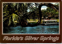 Florida Silver Springs Horse Shoe Palm And Glass Bottom Boat 1984 - Silver Springs