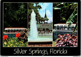 Florida Silver Springs Fountain At Entrance And Glass Bottom Boats - Silver Springs