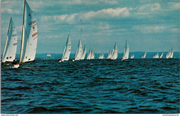 New York Long Island Star Boats Racing In Long Island Sound - Long Island