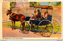 Florida St Augustine Sightseeing Carriage An Old Landmark Of St Augustine - St Augustine