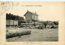 Le Baizil * La Gare * Wagons * Ligne Chemin De Fer Marne * Bois Scierie - Other & Unclassified