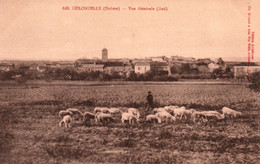 84 / VALREAS / VUE GENERALE SUD / PLAN RARE / MOUTONS BERGER - Valreas