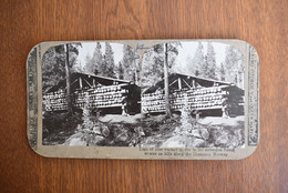 Photo Stereoscopic Stereoscopy - Norway Logs Of Pine Stacked To Dry In The Forest Glommen Glomma - Visionneuses Stéréoscopiques