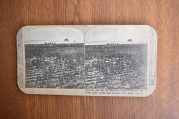 Photo Stereoscopic Stereoscopy - Hawara Pyramid Egypt Desert Cotton Field - Visionneuses Stéréoscopiques