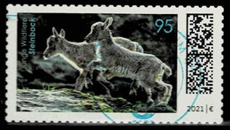 Bund 2021,Michel# 3629 O Tierkinder: Steinbock, Selbstklebend - Used Stamps