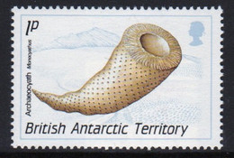 British Antarctic Territory 1990 Queen Elizabeth Single 1p Stamp From Fossils Set In Unmounted Mint - Neufs