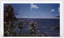 TRINIDAD Et TOBAGO - FORMAT CPA1964 COUCHER DE SOLEIL SUR LA BAY - Trinidad