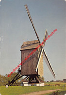 Moulin à Vent - Windmolen - St-Lambrechts-Woluwe - Woluwe-St-Lambert - Woluwe-St-Lambert - St-Lambrechts-Woluwe