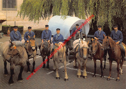 St. Pauluspaardenprocessie - Boeren Op Bedevaart - Opwijk - Opwijk