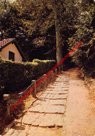 Escalier De La Rue De L'Eglise - Trap Der Kerkstraat - Linkebeek - Linkebeek