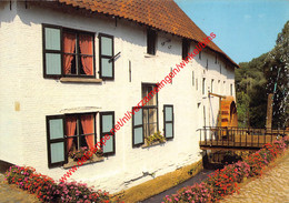 Tommenmolen - Museum Voor De Oudere Technieken - Grimbergen - Grimbergen